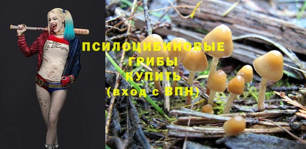 PSILOCYBIN Балабаново